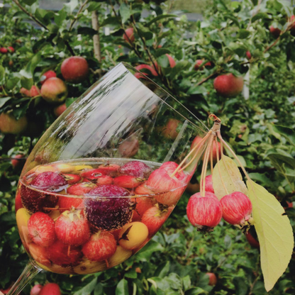 bicchiere di vino, mele, natura