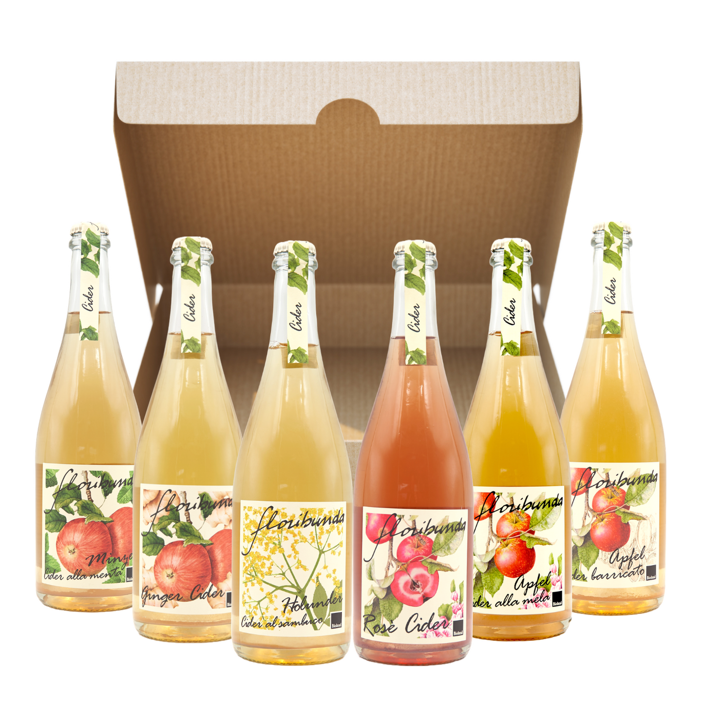 Cider Tasting Box – Floribunda