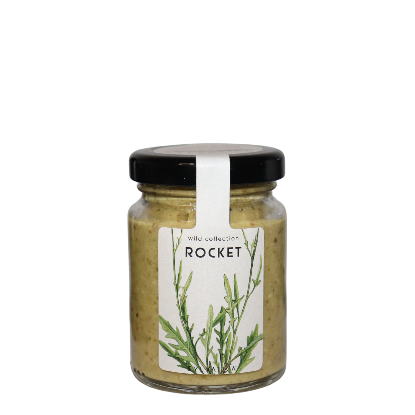 Wild rocket and mint pesto ROCKET - Sylvatica