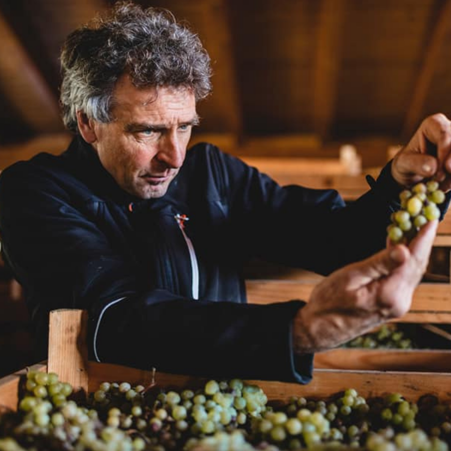 Vigneti delle Dolomiti IGT Schiava “Belle” 2021 – Francesco Poli