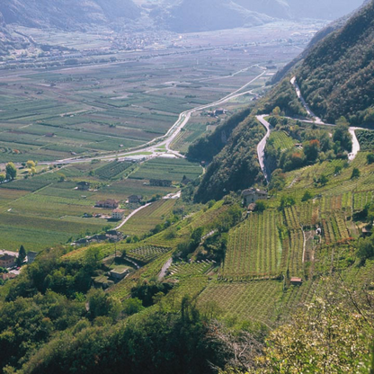 Zona di produzione Trentodoc, un'altra prospettiva, cantina Aldeno