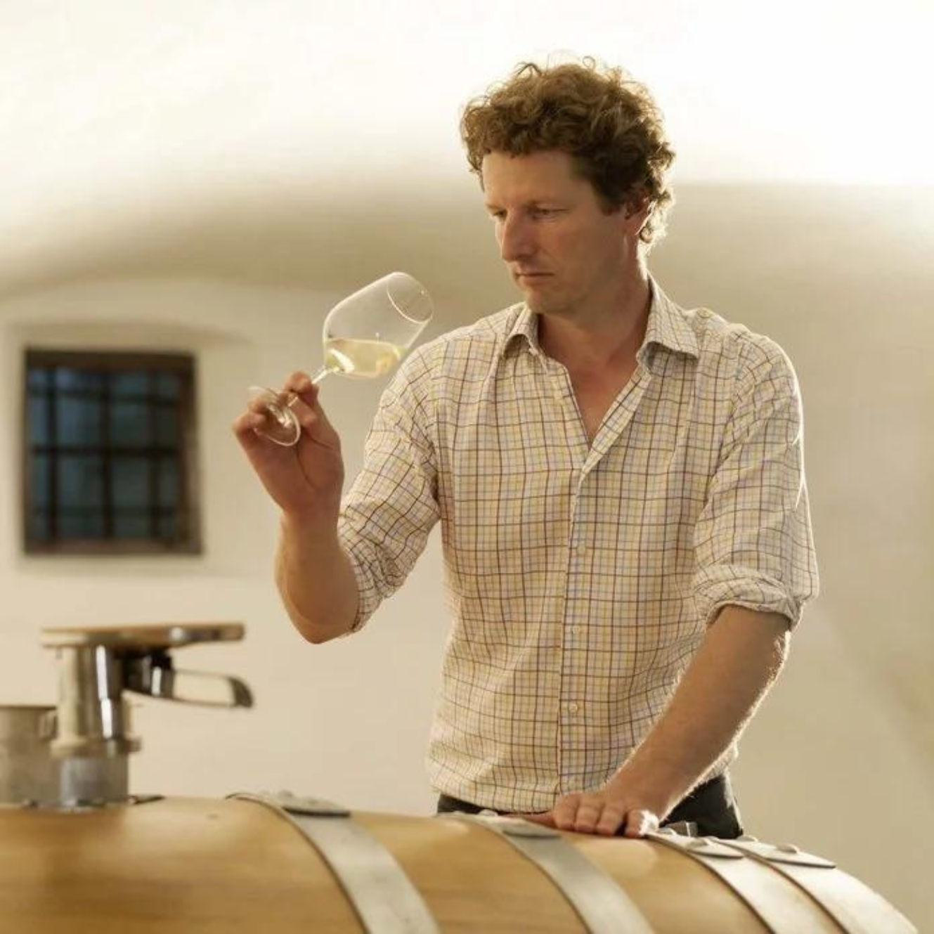 Il produttore di vino assaggia il vino bianco, cantina Pacher Hof