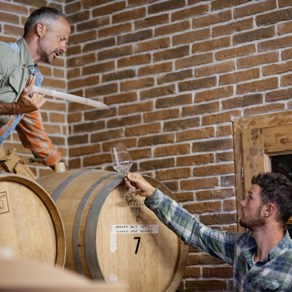 Il produttore controlla il vino durante la vinificazione, cantina Maso Caliari