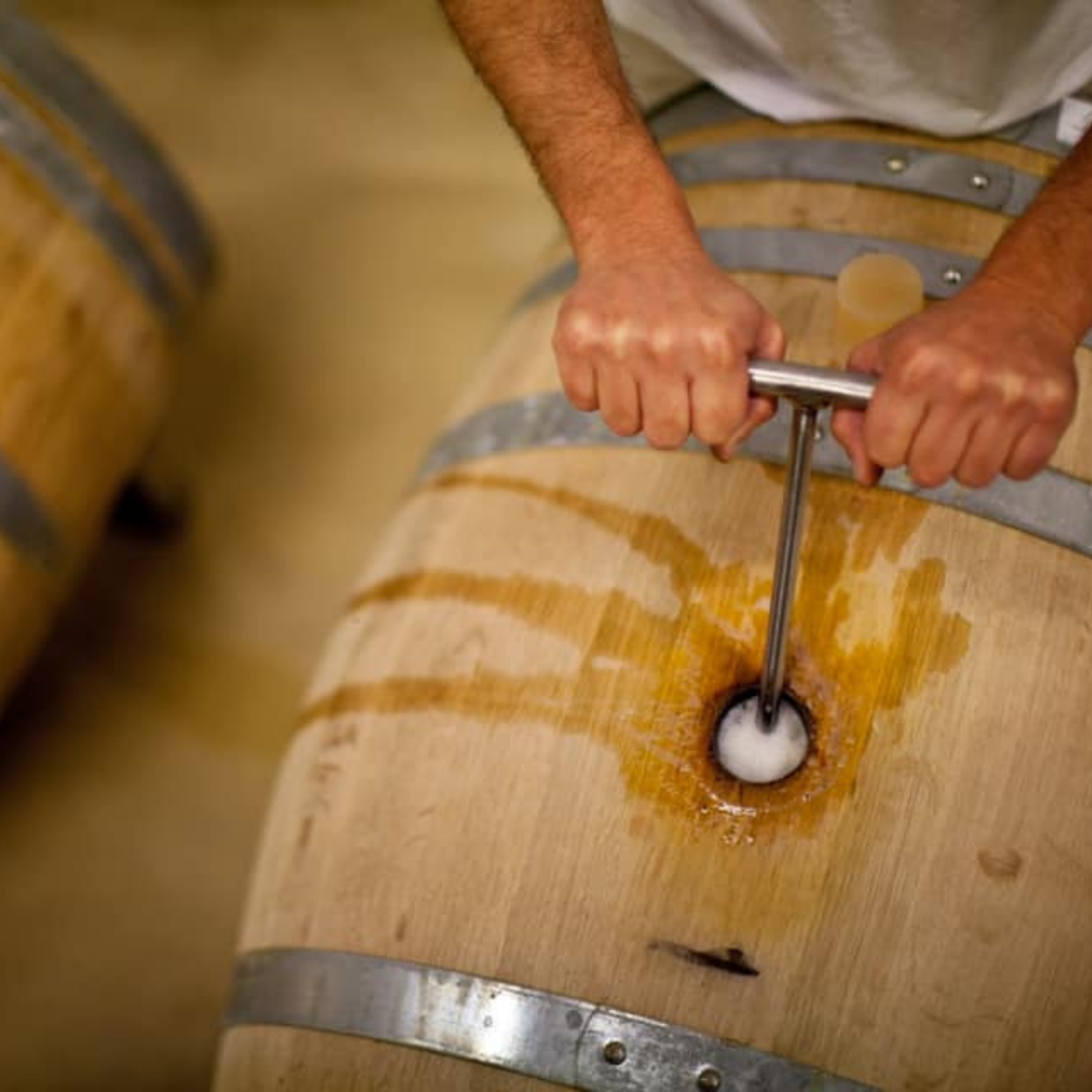 Il produttore controlla il vino durante la vinificazione, cantina Cesconi